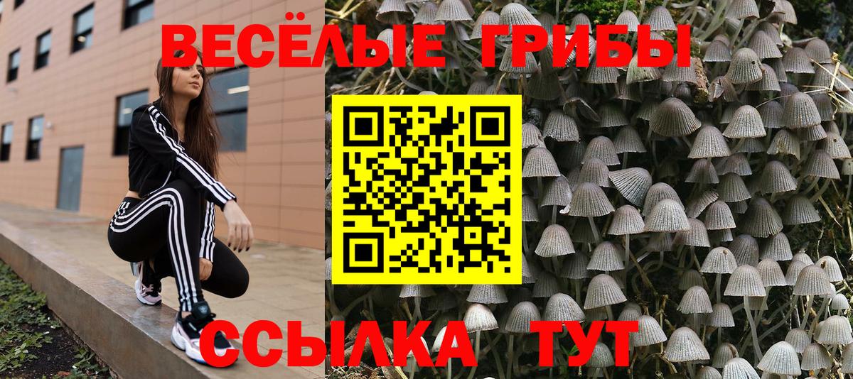 Галлюциногенные грибы мицелий  Псилоцибиновые грибы ЛСД  Ялта  Вход с VPN 
